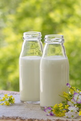 Bottle of milk in summer time