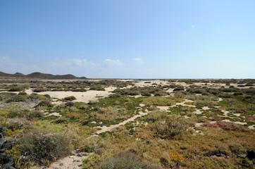 Fototapeta na wymiar Las Lagunitas sur l'îlot de Lobos à Fuerteventura