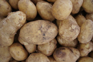 Patatoes