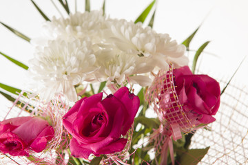bouquet of flowers on a white background