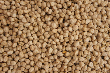 Chickpea
