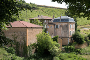 Theizé ,,Village au Pays des Pierres Dorées , Vallée d'Azergues dans le Rhône