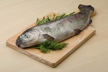 Raw fresh trout