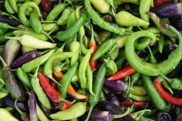 Peppers