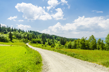 Country road on meadow