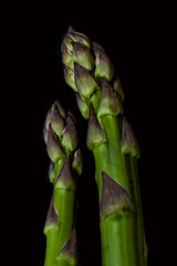 Fresh green asparagus close up (macro) on black background captured from above. Dark moody artistic style.