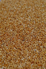 Whole Raw Quinoa Grains