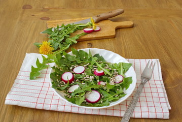 salad made by leaves of dandelion, sunflower seeds and radish