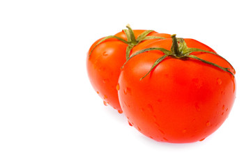 ripe tomatoes