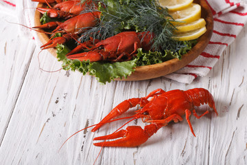 crayfish boiled with herbs on a table close-up. horizontal