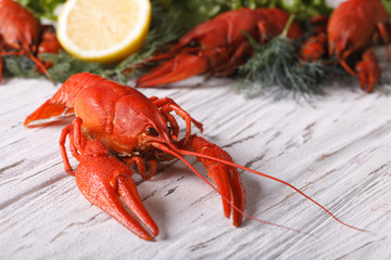 boiled crayfish on a table close up. Horizontal
