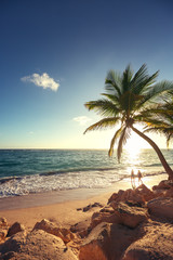 Palm trees on the tropical beach - obrazy, fototapety, plakaty