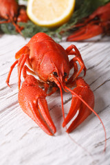 boiled crayfish on a table close up. vertical