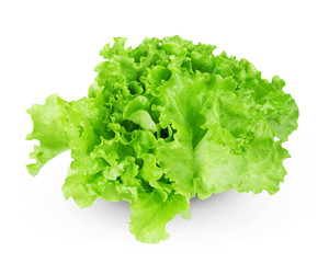 Fresh lettuce