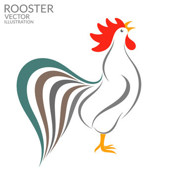 Singing rooster