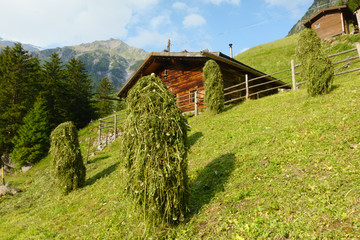 Heuschober vor einer Almhütte