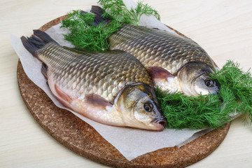 Two crucian