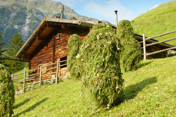 Heuschober vor einer Almhütte © by paul