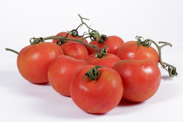 Natural fresh tomatoes on white