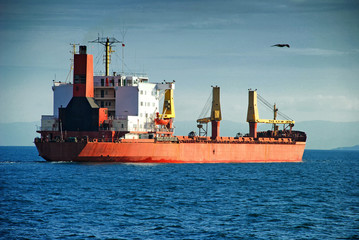 Fototapeta premium Cargo Ship