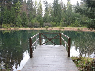 Затерянный мир лесного озера © iuliiia