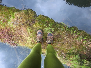 Затерянный мир лесного озера © iuliiia