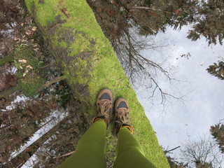 Затерянный мир лесного озера © iuliiia