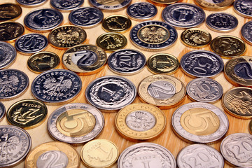 Polish money coins