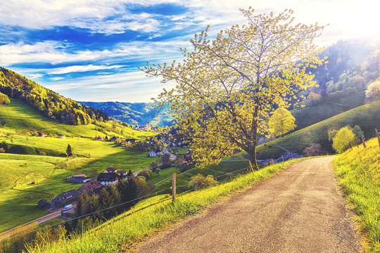 Scenic panorama with sunset in picturesque hilly summer valley in Germany, Muenstertal, Schwarzwald