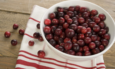 cranberry 
