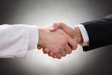 Doctor And Businessman Shaking Hand