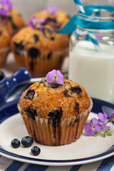 Blueberry Muffins. Selective focus.