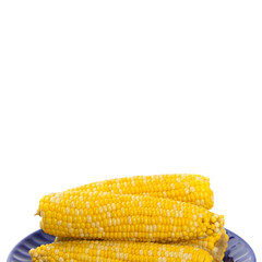 Corn on white background. Selective soft focus.