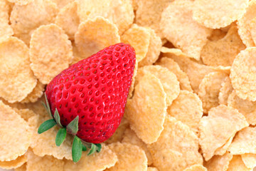 close-up ripe strawberry and flakes
