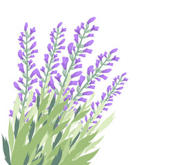 Watercolour lavender flower card