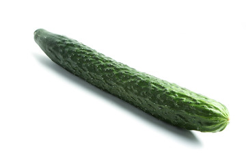 Cucumber