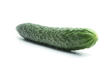 Fresh cucumber