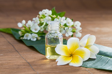 Essential Oil, flower, on green leaf, blur background, health sp