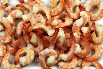 Jumbo Shrimp Close-up