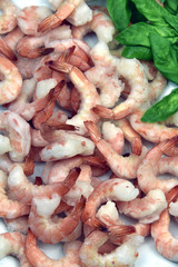 Jumbo Shrimp with Fresh Basil
