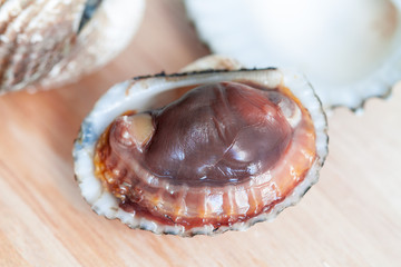 Boil Blood Cockle seafood