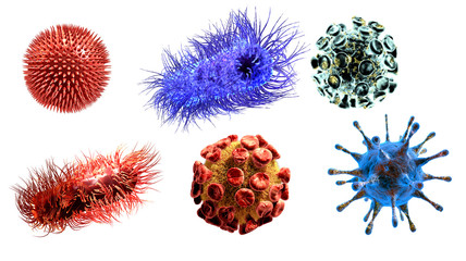 Detailed 3d medical illustration of viruses and bacteria  isolated on white background - obrazy, fototapety, plakaty