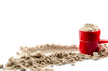 Whey Protein Powder