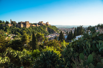 Fototapeta na wymiar Alhambra 28