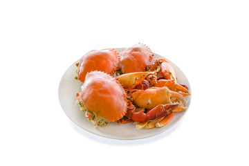 steamed crabs prepared on plate,white background