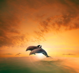 couples of sea dophin jumping through ocean wave floating mid ai