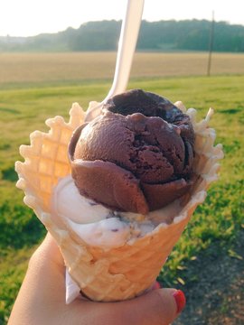 waffle ice cream at maple view farm, NC