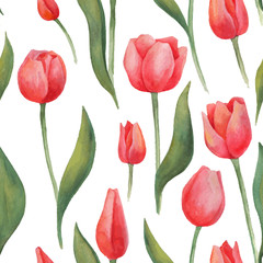 Seamless watercolor tulips pattern on white background