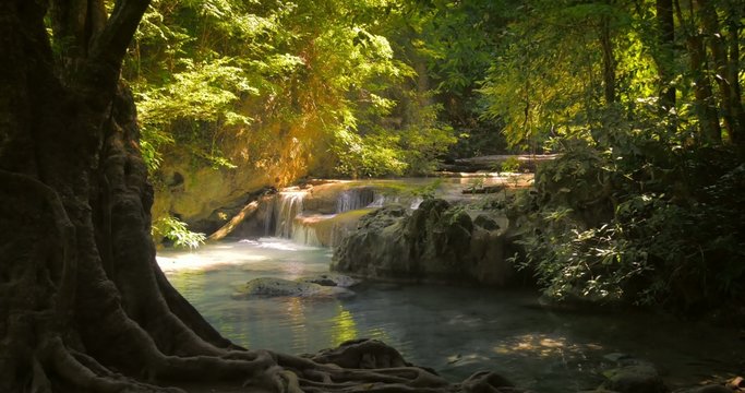 Relaxing and serene nature. Day sunshine in tropical forest with small river