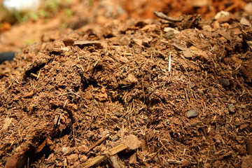 Soil for growing plants.